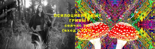 COCAINE Бородино