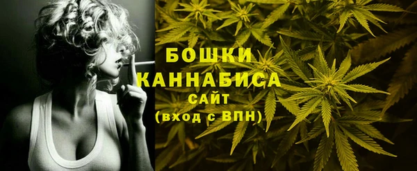 молекула духа Саяногорск