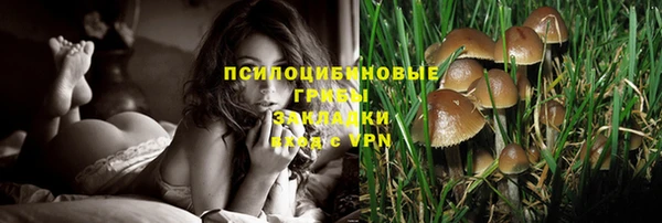 синтетический гашиш Бронницы